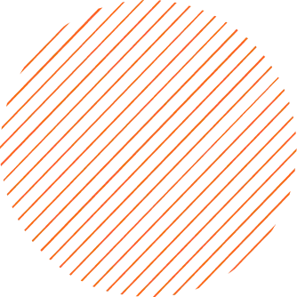 Holiday Packages USA