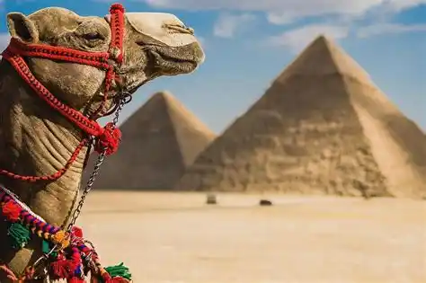Egypt Holiday Package