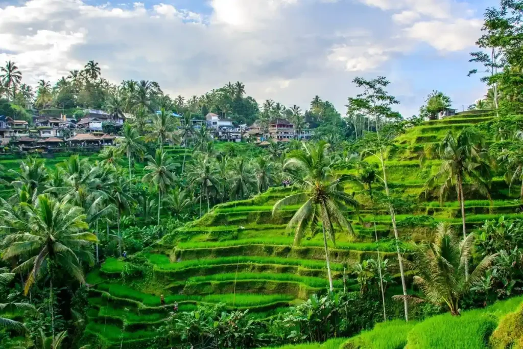Ubud Holiday Package