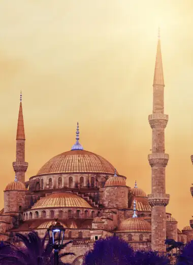 Holiday Packages from USA