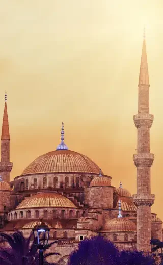 Holiday Packages from USA