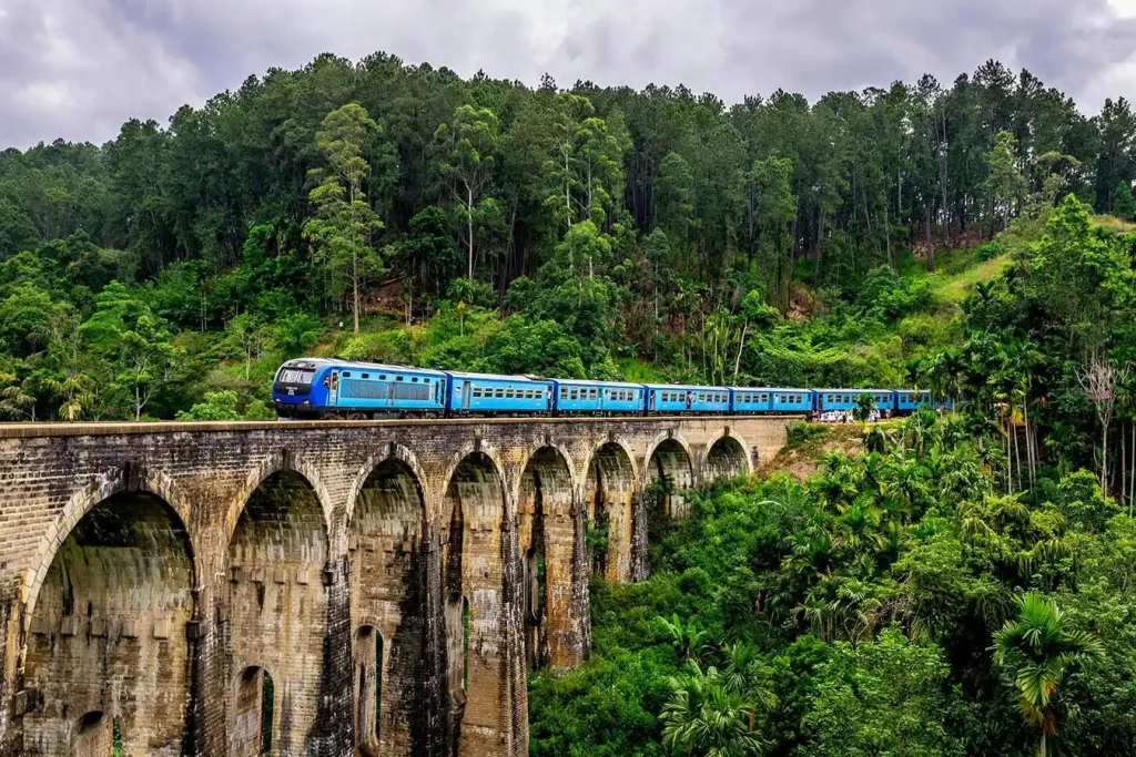 Holiday Packages from USA