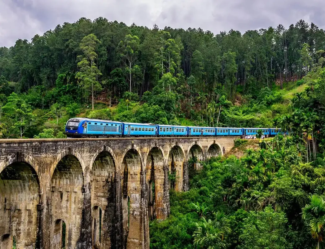 Holiday Packages from USA