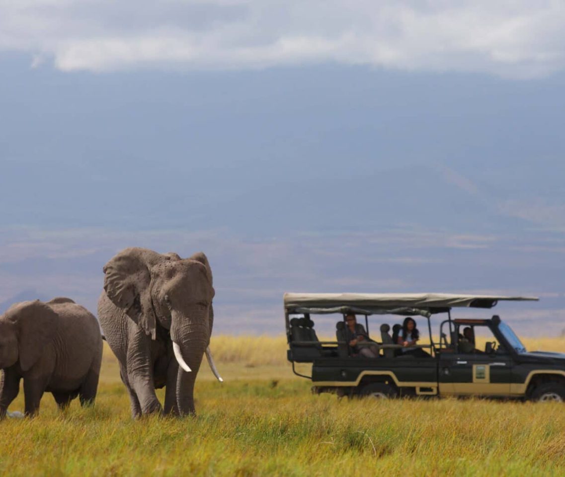 all inclusive safari holidays